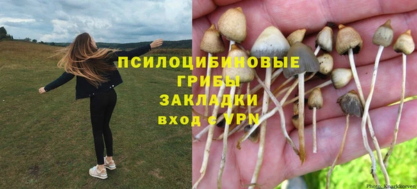 тгк Абинск