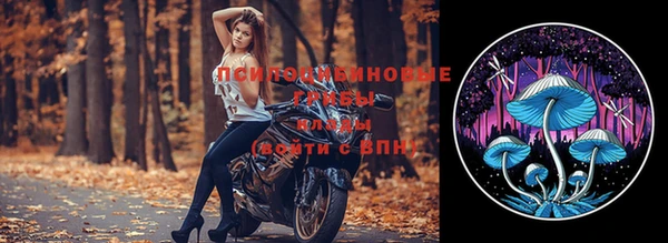герыч Алексин